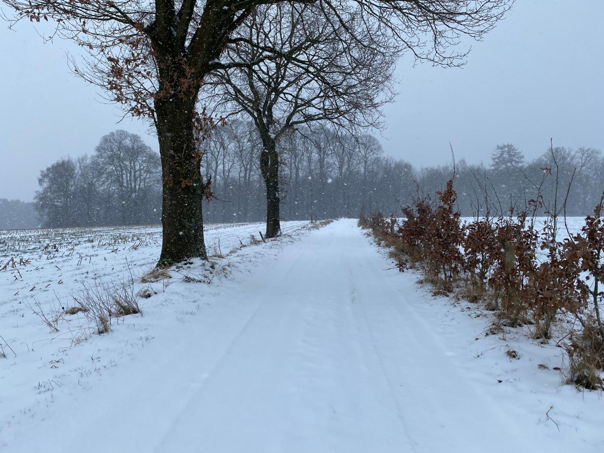 Op D'R Vieleberg Bed & Breakfast Vijlen Eksteriør bilde